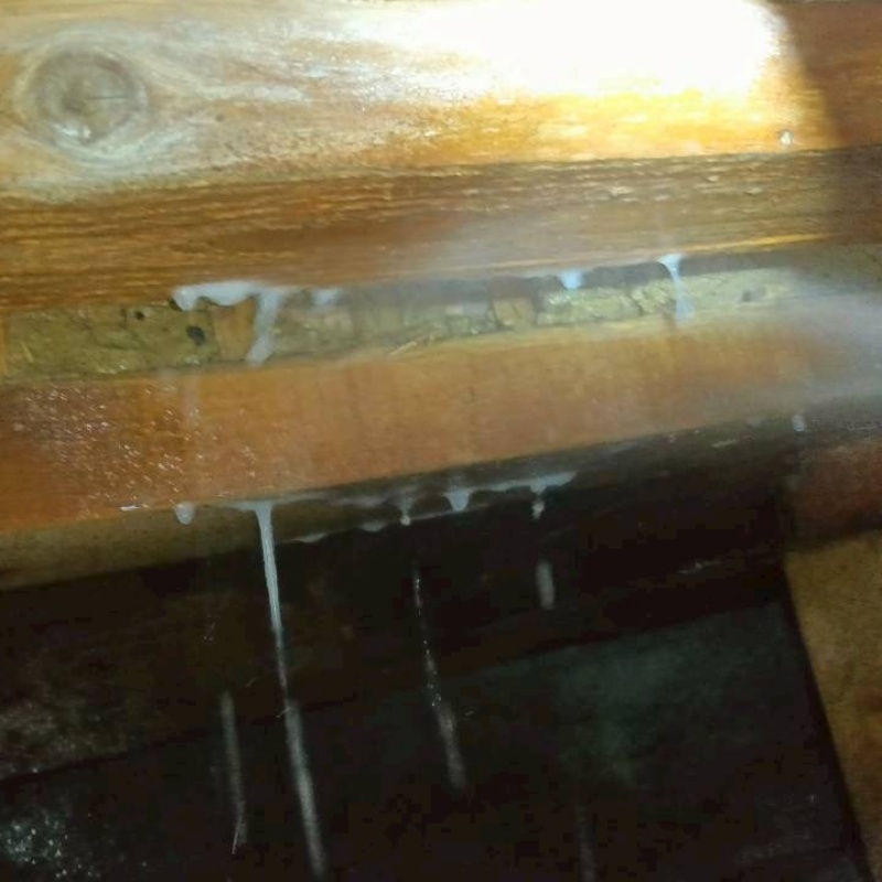床下の木材にシロアリ駆除剤を散布