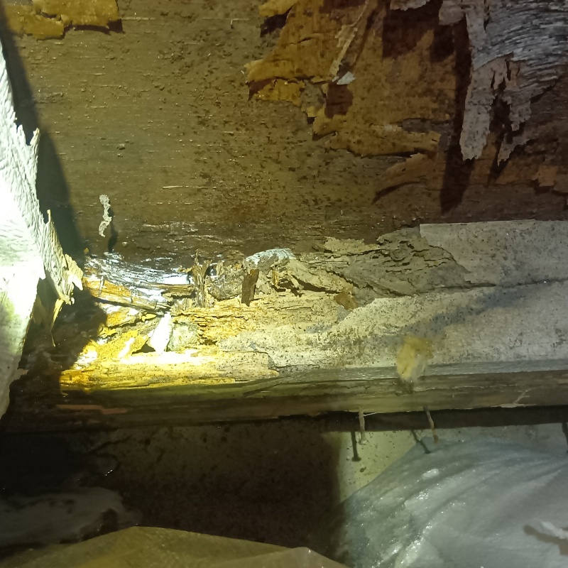 築年数40年のシロアリ駆除の施工事例（大阪府寝屋川市太秦元町）