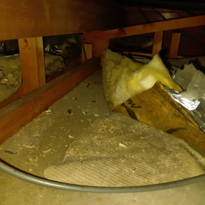 ネズミが殺鼠剤を食べたあと