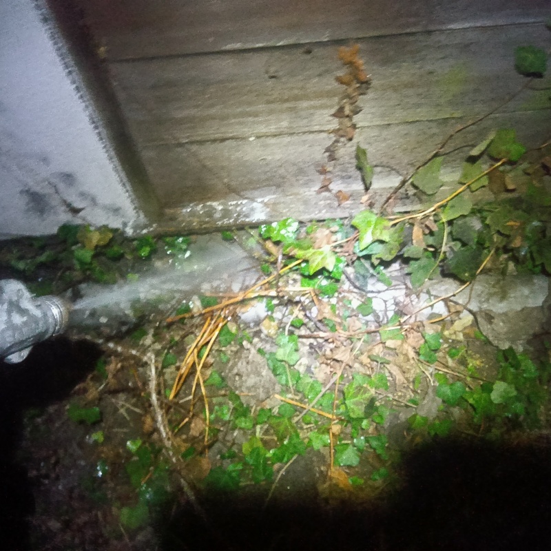 基礎付近の土壌に防蟻剤を散布