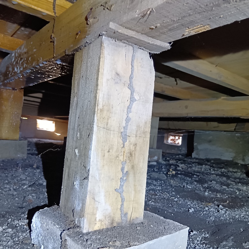 床下の木材に作られた蟻道