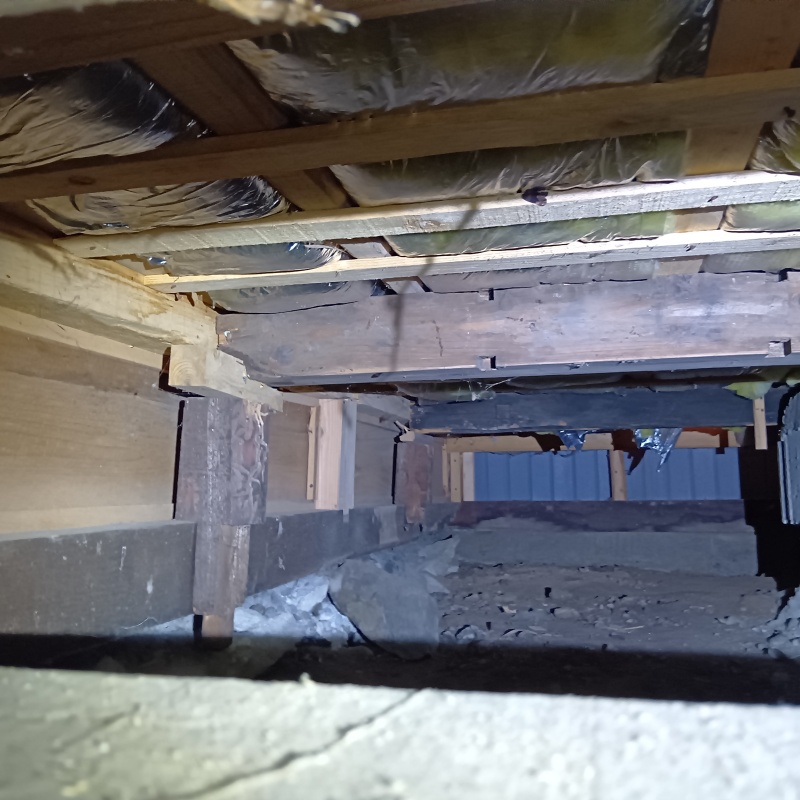 築年数100年のシロアリ駆除の施工事例（茨城県常陸太田市）