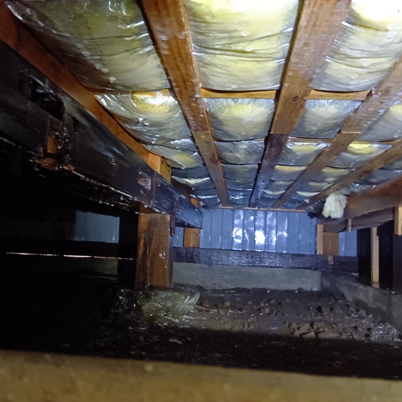 床下の土壌にシロアリ駆除剤を散布したあとの様子