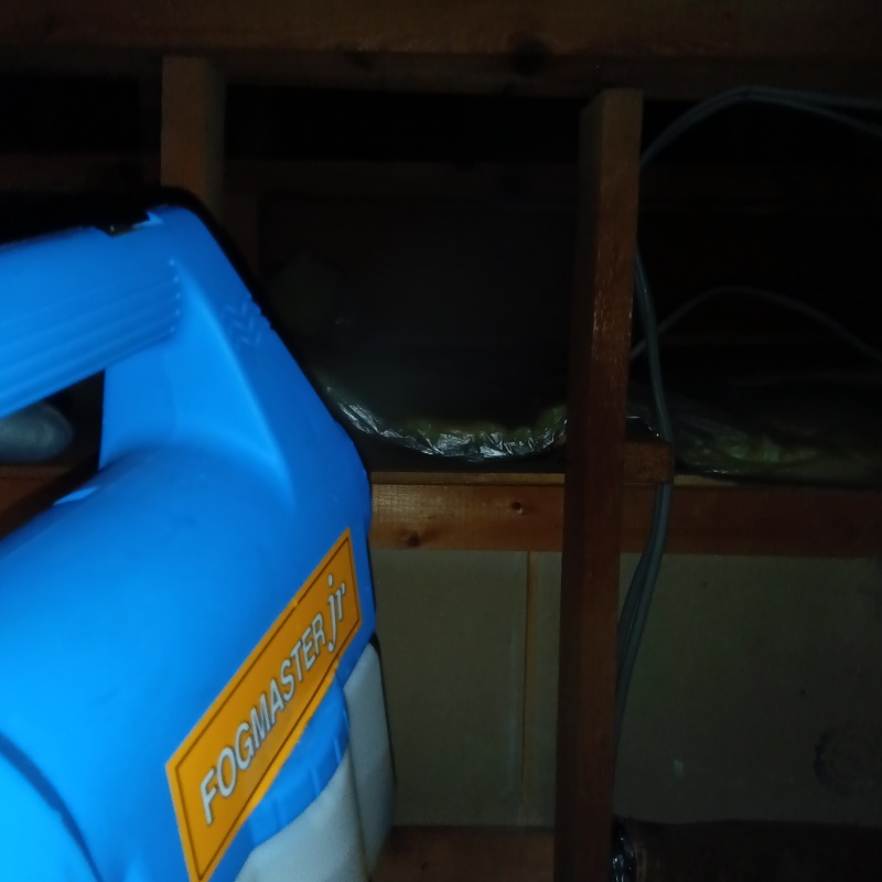 噴霧器で除菌剤を散布