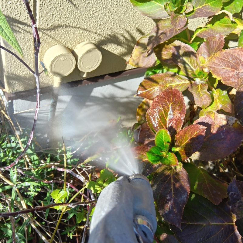 基礎付近の土壌にシロアリ駆除剤を散布