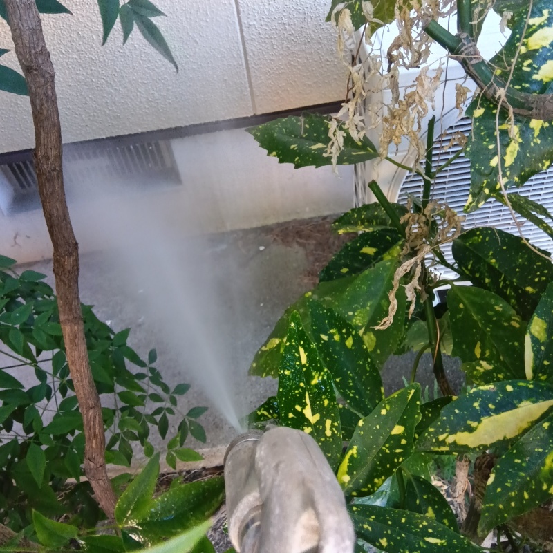 基礎付近の土壌にシロアリ駆除剤を散布