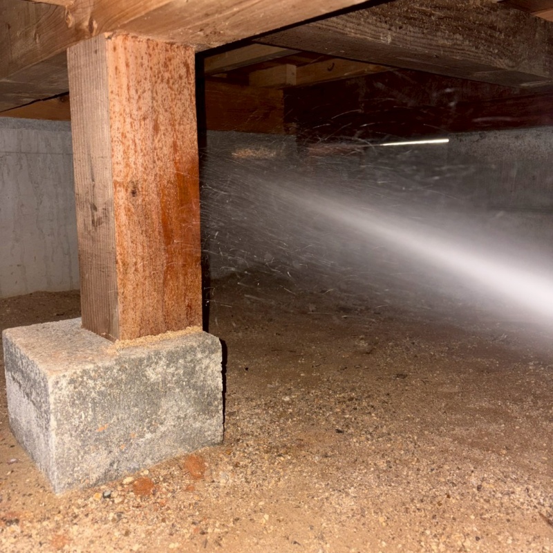 木製の床束に防蟻剤を散布