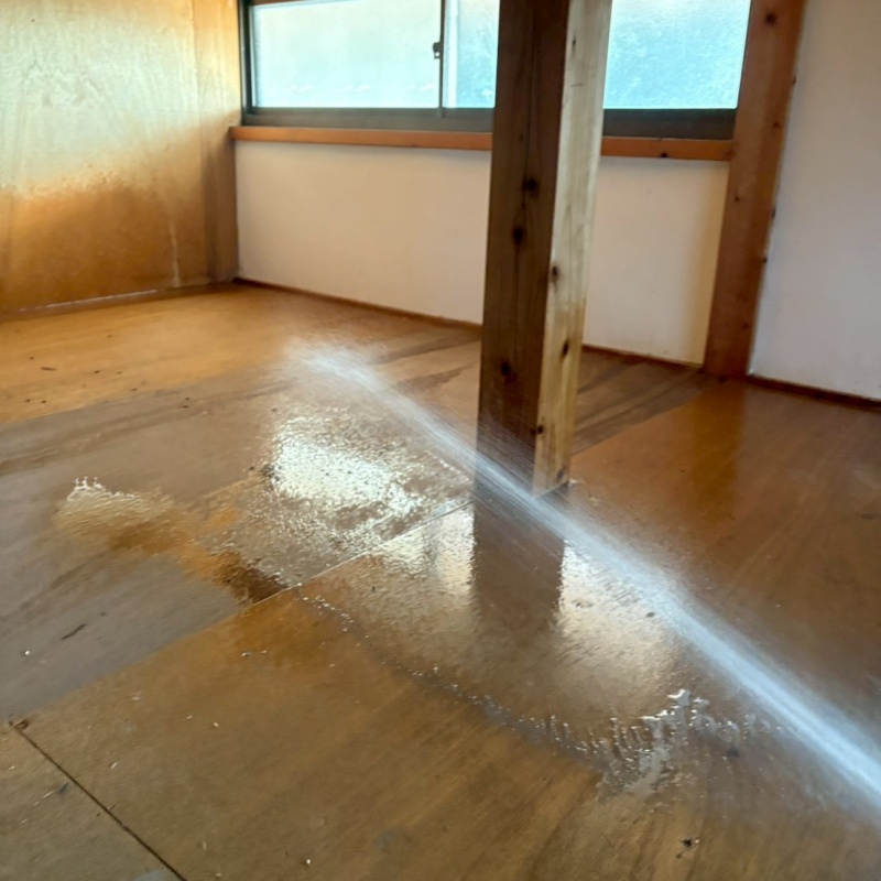 フローリングに防蟻剤を散布