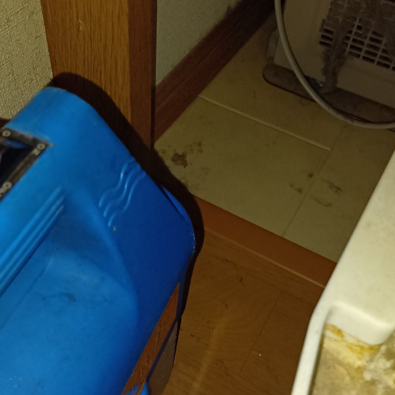 消臭剤を散布