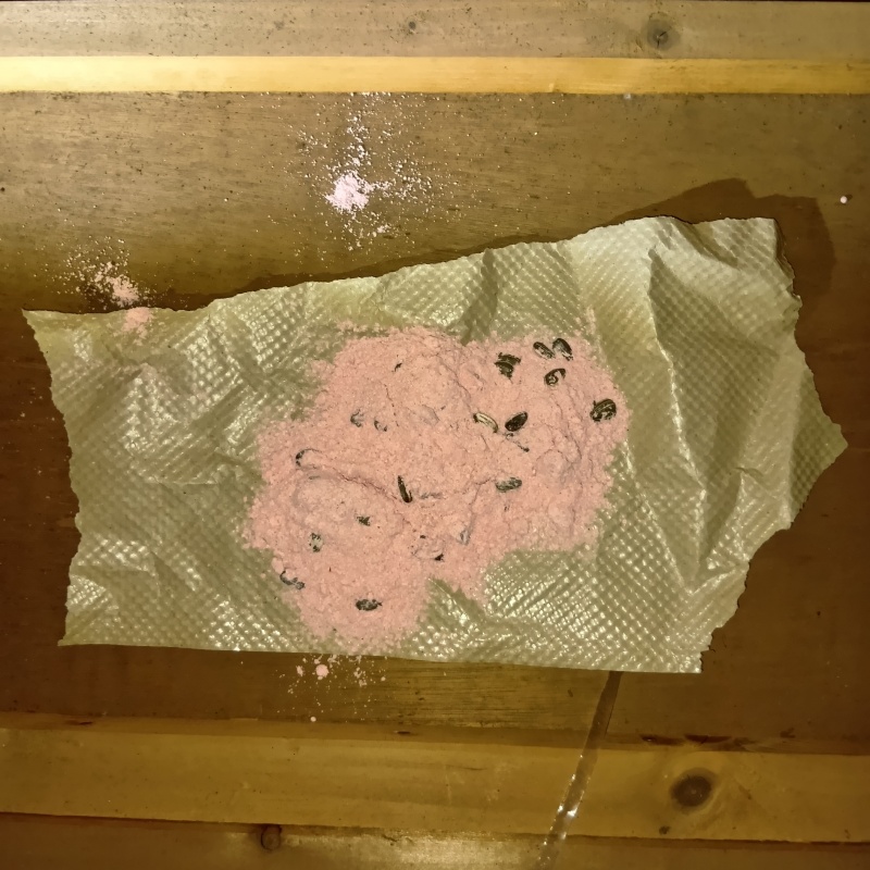 殺鼠剤を設置