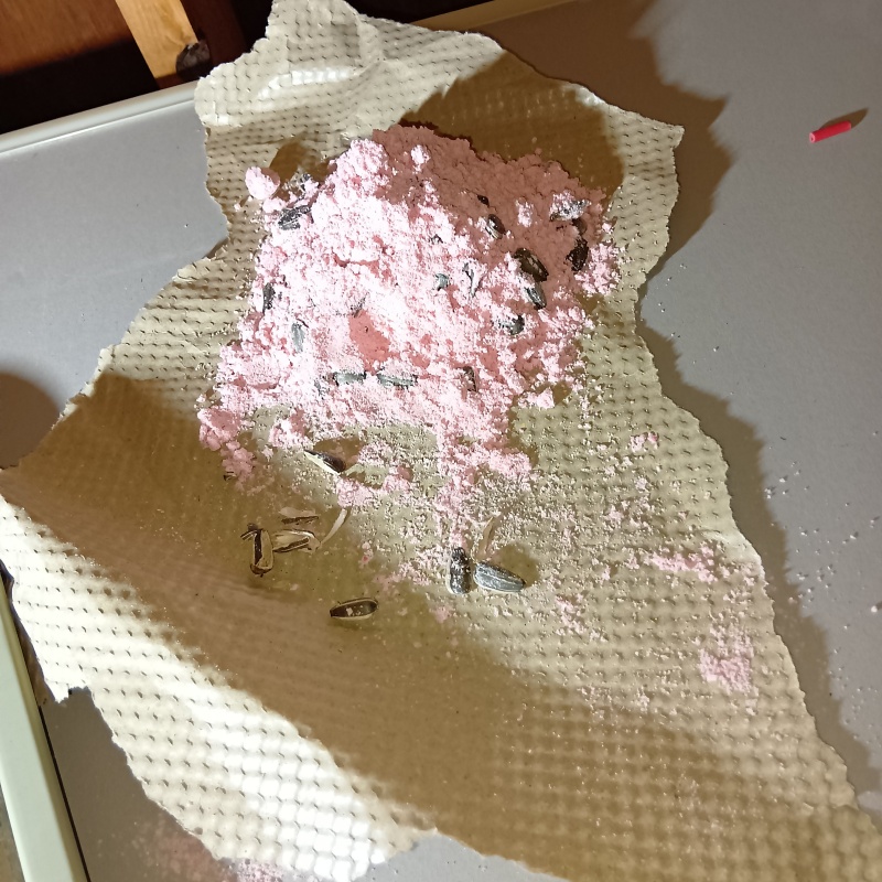 殺鼠剤を設置