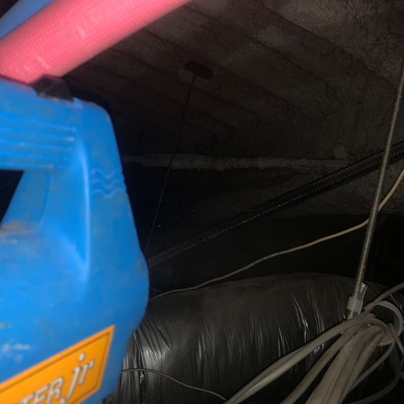 噴霧器で除菌剤を散布