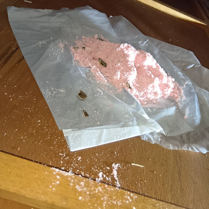 殺鼠剤を設置