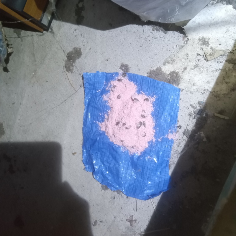 殺鼠剤を設置