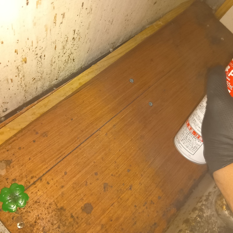 殺虫剤をスプレー