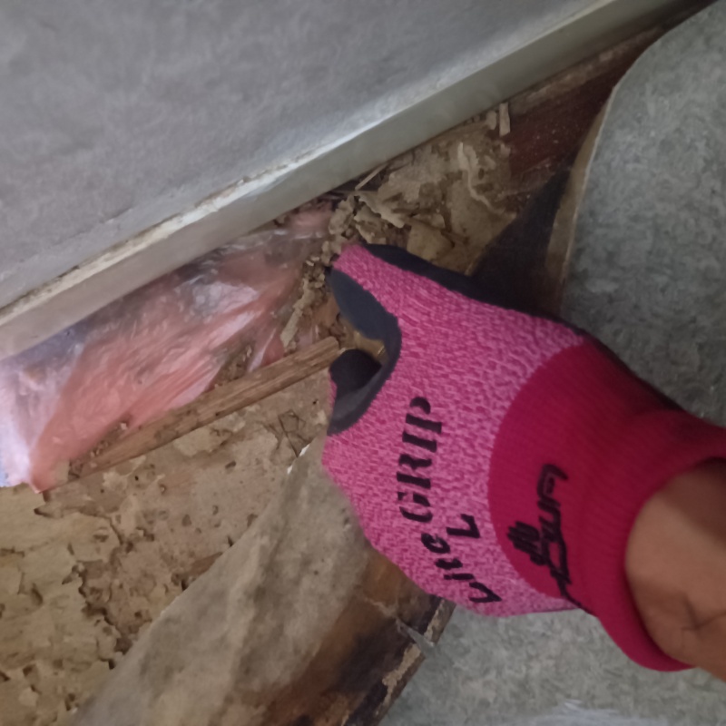 築年数30年のシロアリ駆除の施工事例（山形県寒河江市大字西根字長面）