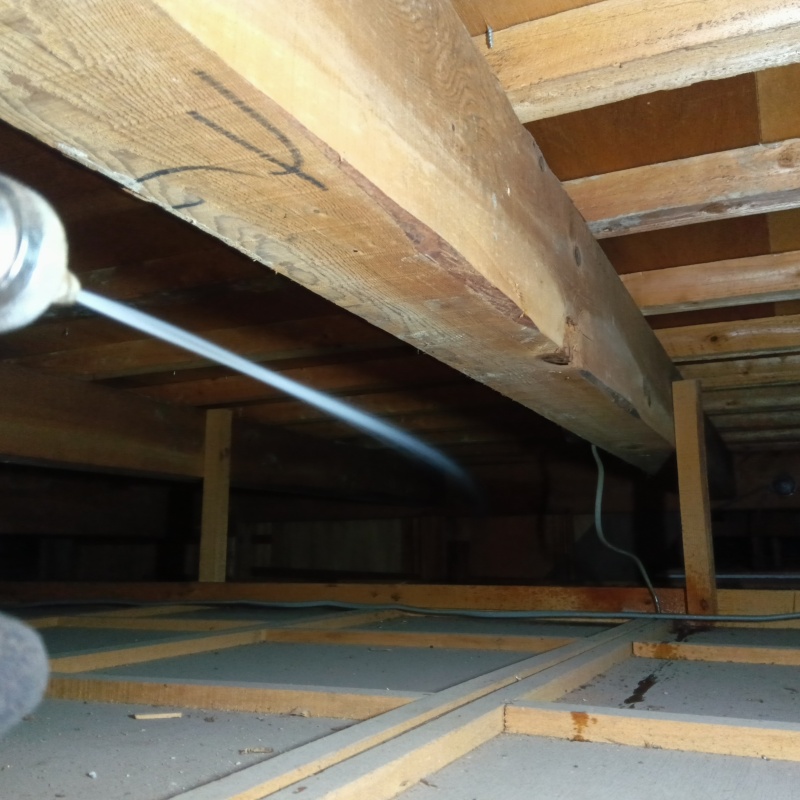 築年数50年のシロアリ駆除の施工事例（宮崎県日向市富高）
