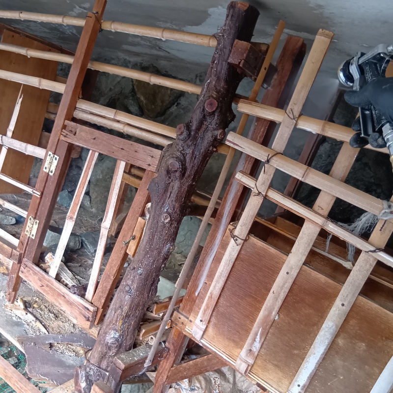 築年数20年のシロアリ駆除の施工事例（福岡県中間市通谷）