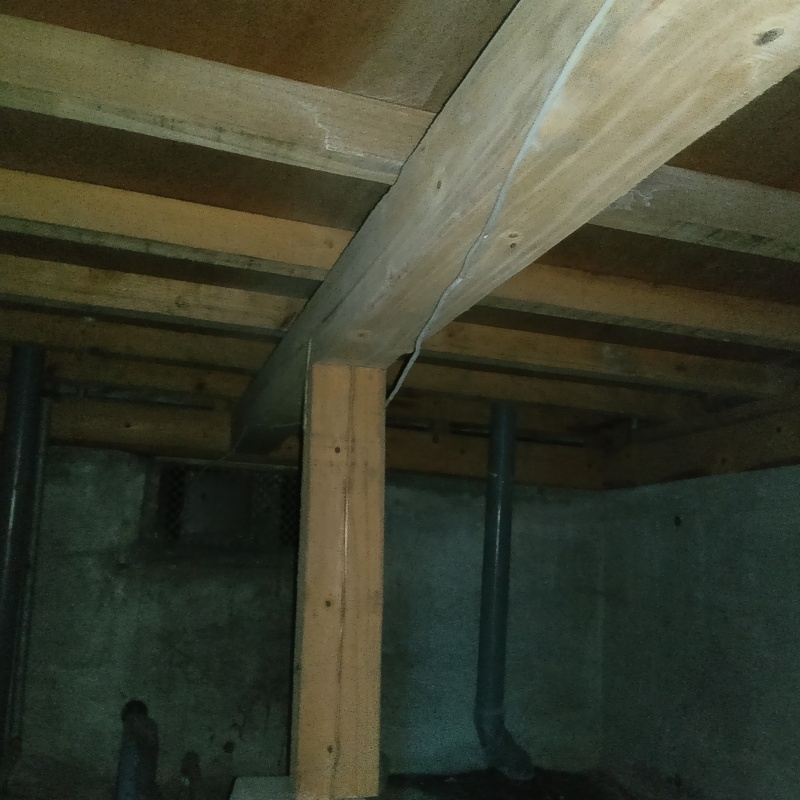 シロアリ駆除の施工事例（鹿児島県鹿児島市桜島武町）