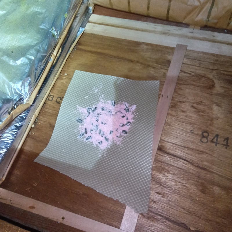 殺鼠剤を設置