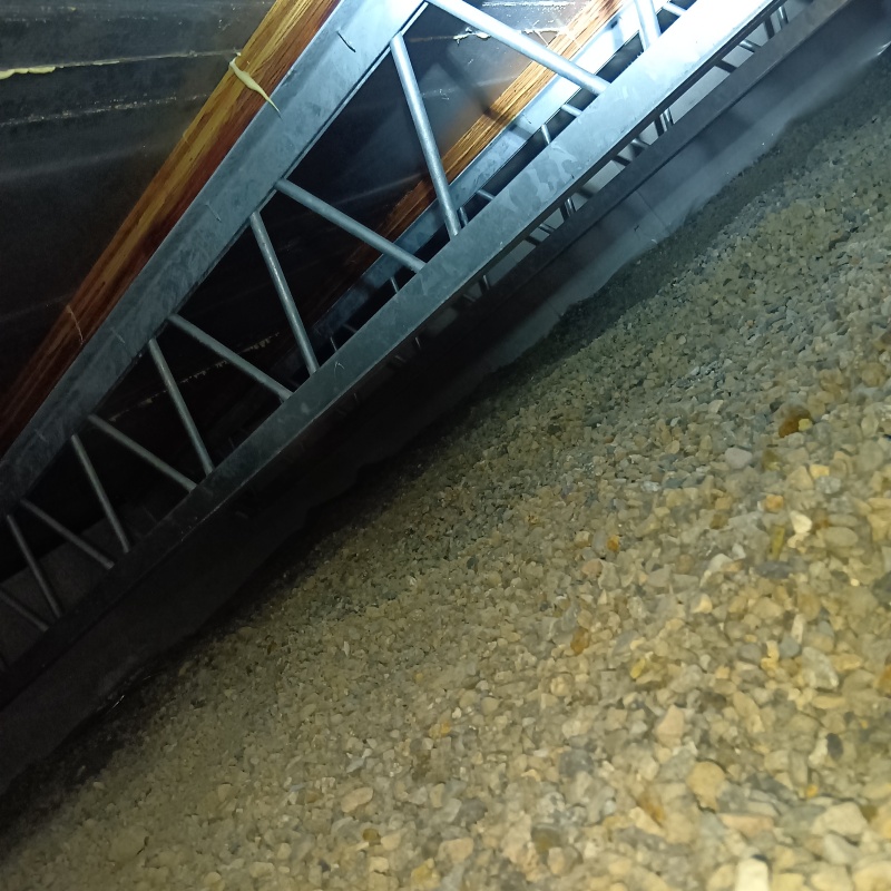 シロアリ駆除剤を散布する前の様子