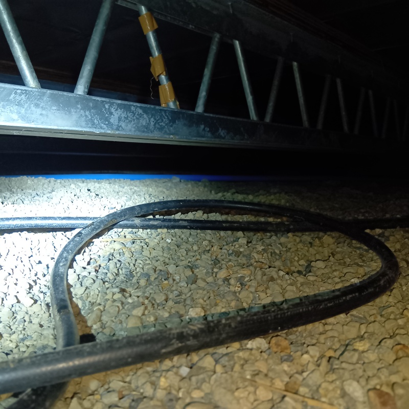 シロアリ駆除剤を散布する前の様子