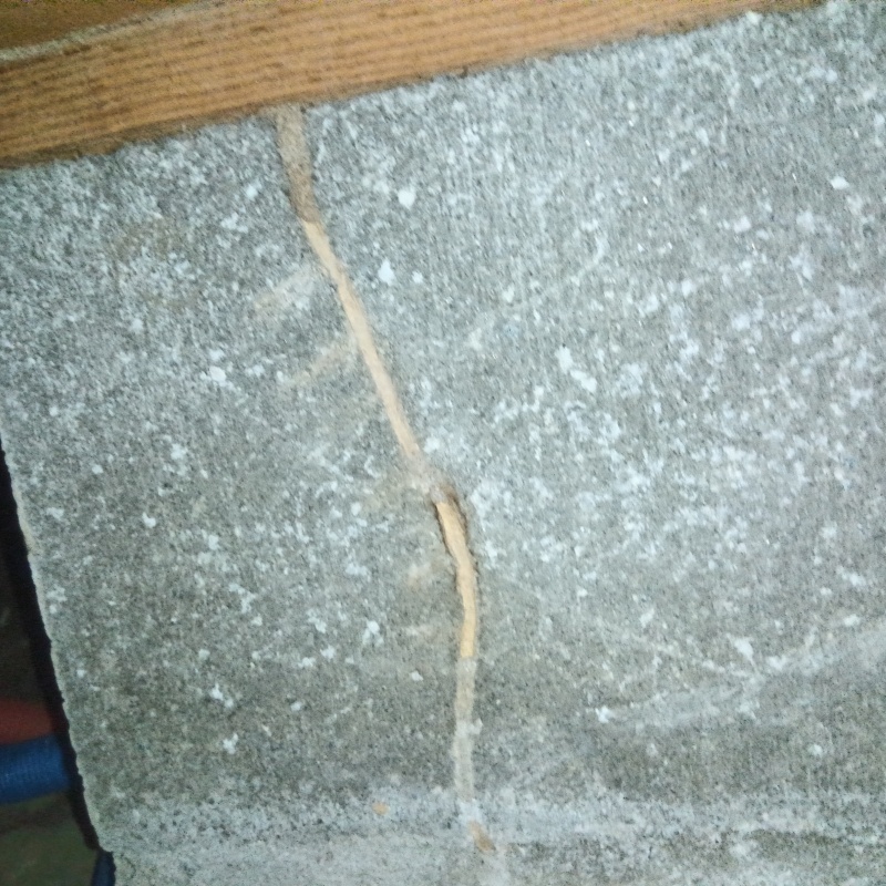 築年数50年のシロアリ駆除の施工事例（愛知県津島市中一色町弥六山）