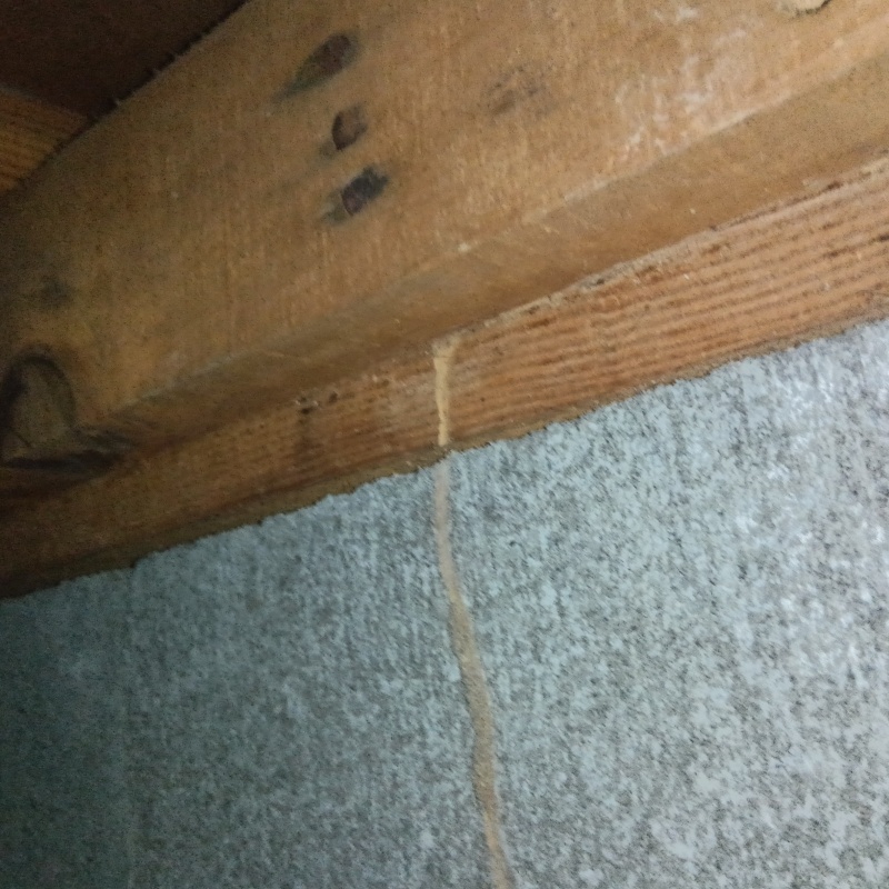 床下の基礎に作られた蟻道