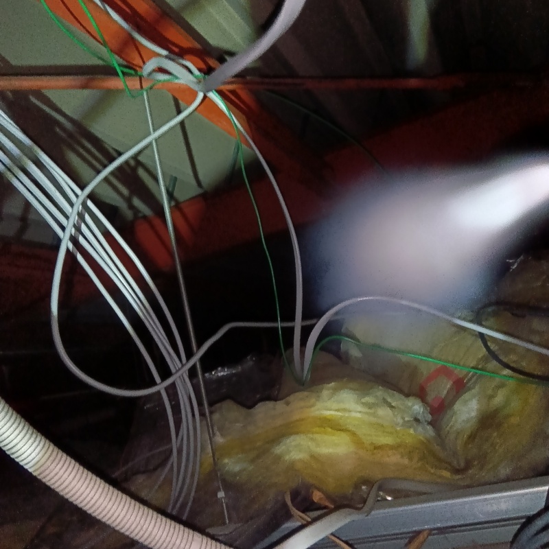 忌避剤をスプレー