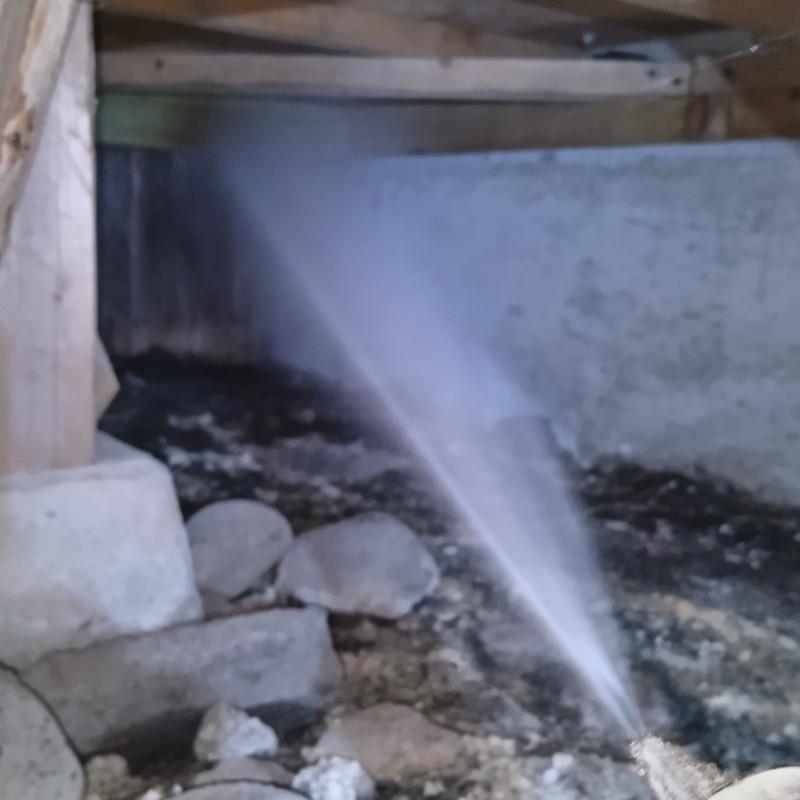 床下の木材にシロアリ駆除剤を散布