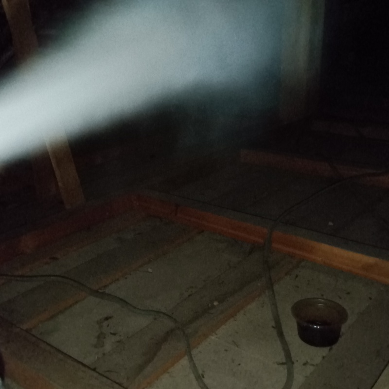 忌避剤でハクビシンを追い出す