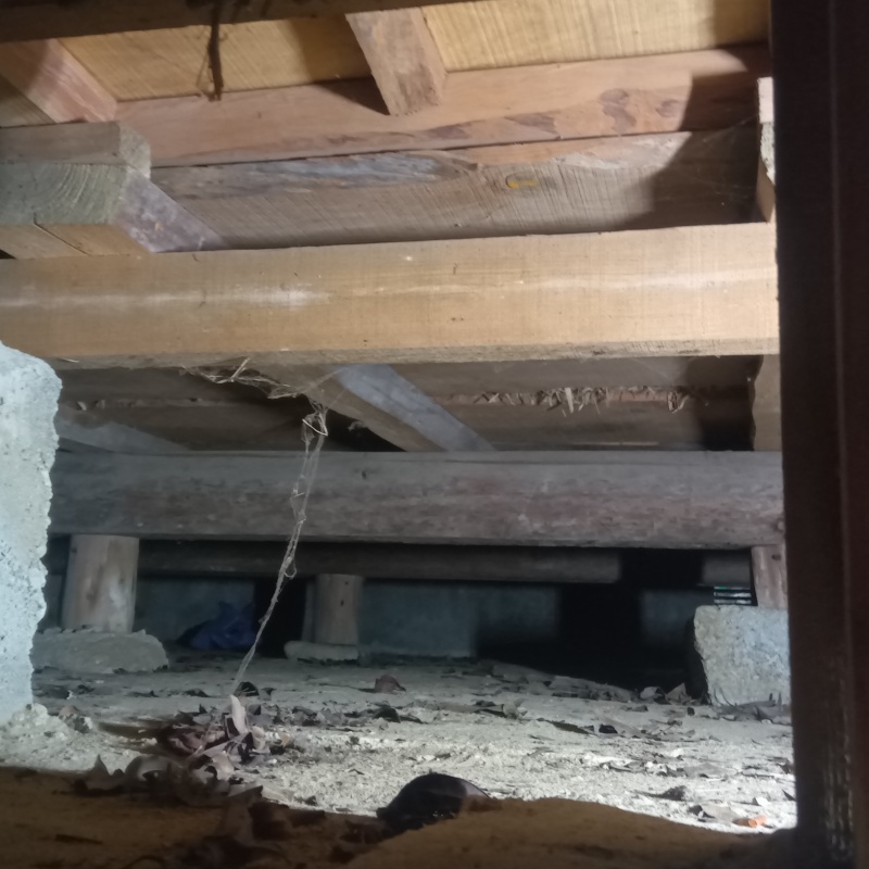 築年数50年のシロアリ駆除の施工事例（愛媛県松山市和田甲）