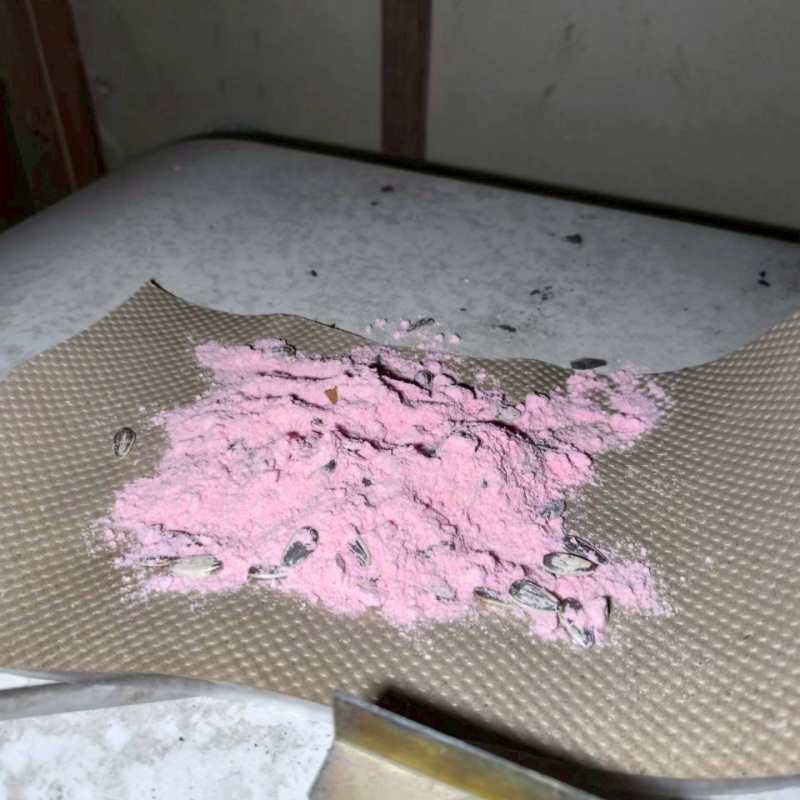 殺鼠剤を設置