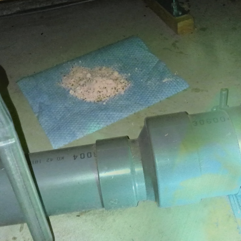 殺鼠剤を設置