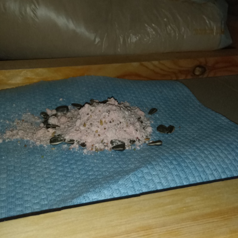 殺鼠剤を設置