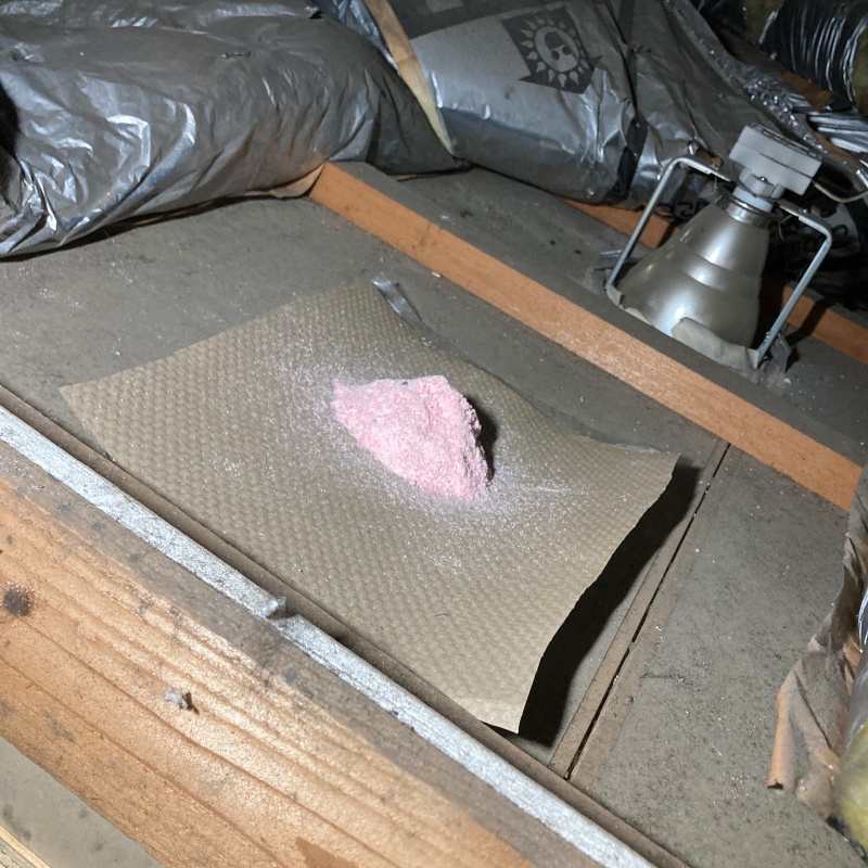 殺鼠剤を設置