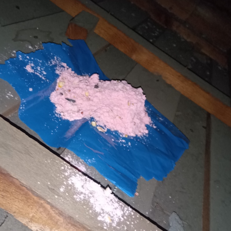 殺鼠剤を設置