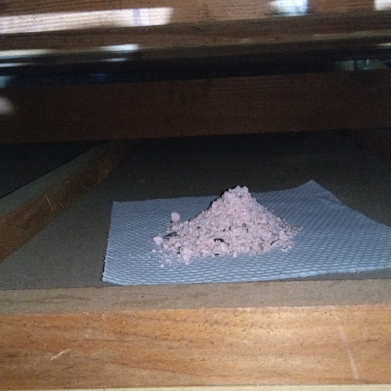 殺鼠剤を設置