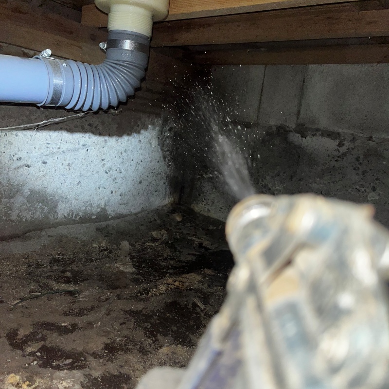 床下の基礎部分にシロアリ駆除剤を散布する様子