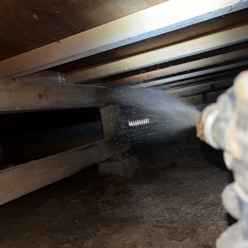 床下の木材にシロアリ駆除剤を散布する様子