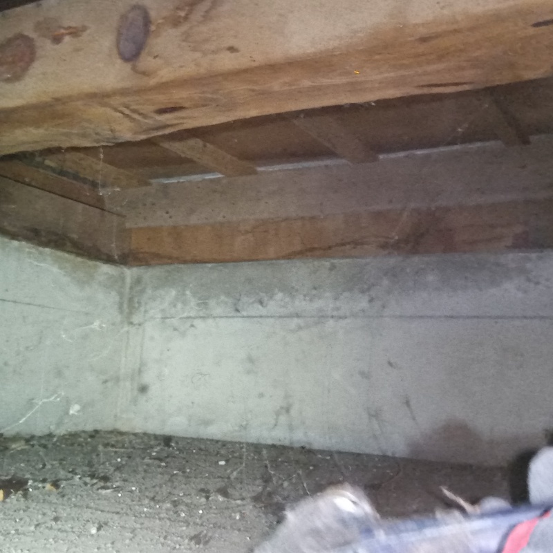 築年数45年のシロアリ駆除の施工事例（茨城県古河市下大野）