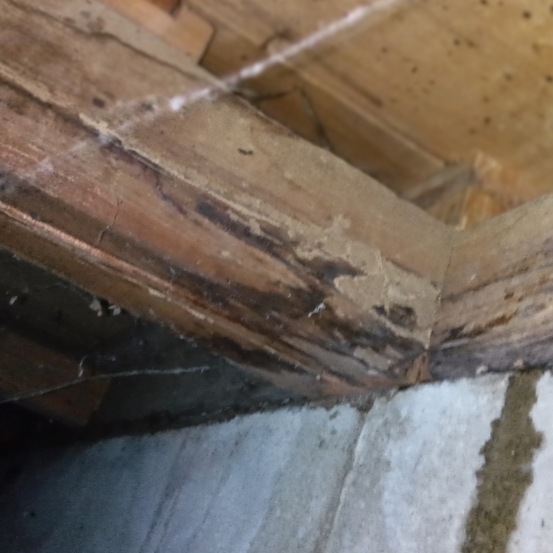 ダメージが蓄積した床下の木材