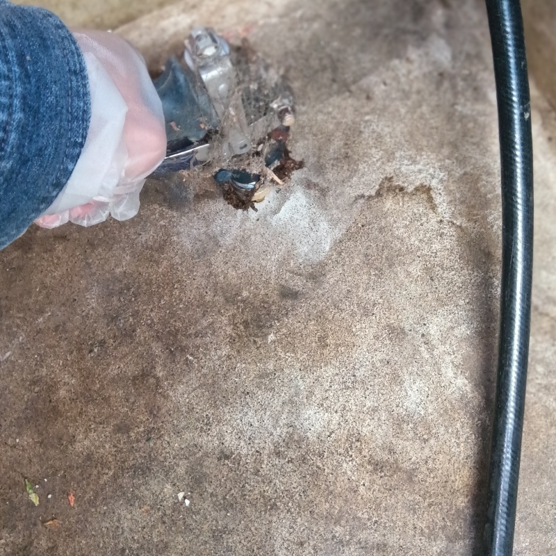 玄関床のコンクリートに穴を開けてシロアリ駆除剤を注入