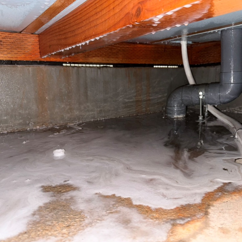 床下木材に防蟻剤をまんべんなく散布したあとの様子