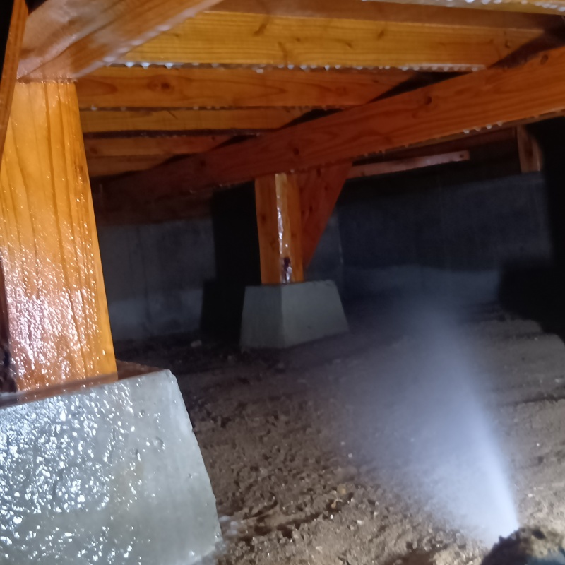 地面にシロアリ駆除剤を散布