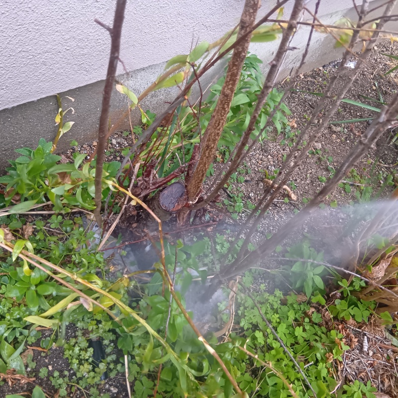 建物外周の土壌にシロアリ駆除剤を散布