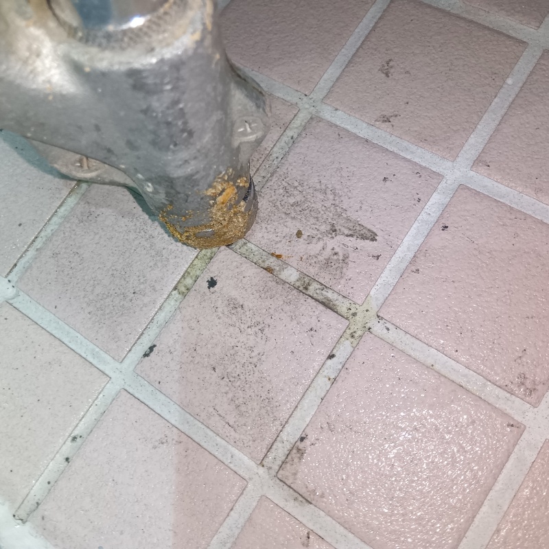 浴室床のタイルの目地から防蟻剤を注入