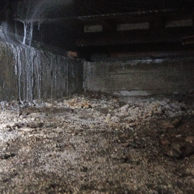 床下木材にシロアリ駆除剤を散布する様子