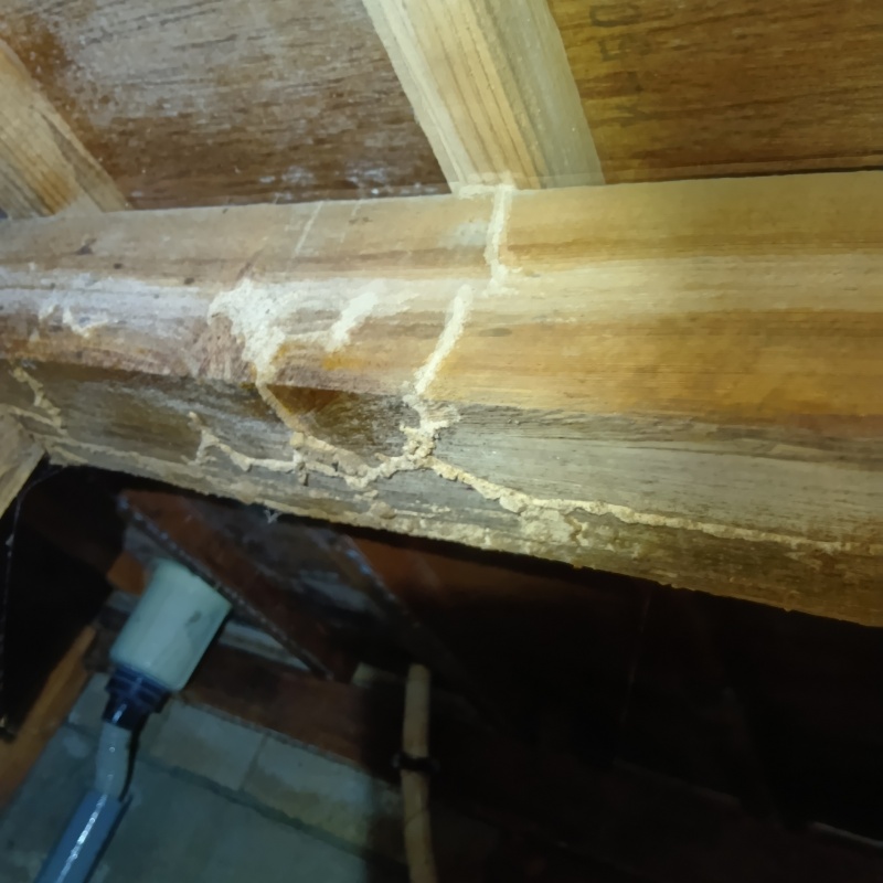 築年数33年のシロアリ駆除の施工事例（茨城県桜川市岩瀬）