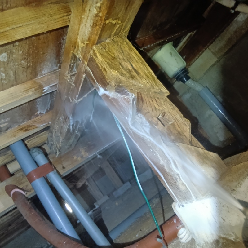 床下木材にシロアリ駆除剤を散布